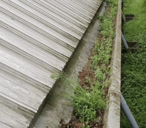 Happy customers in East Horsley who trust The Roof Moss Cleaners for gutter cleaning services