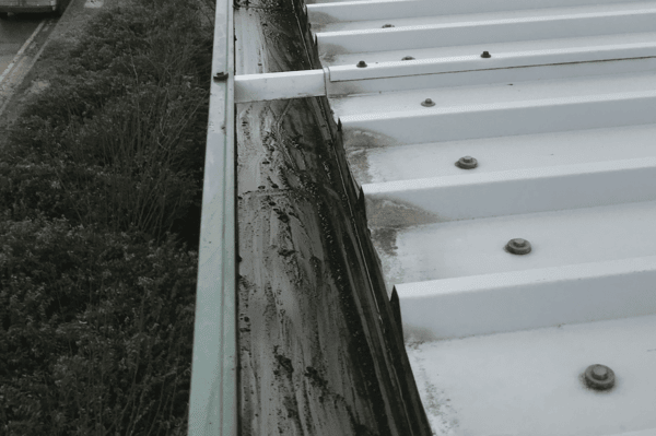 Commercial gutter cleaning specialists in East Horsley